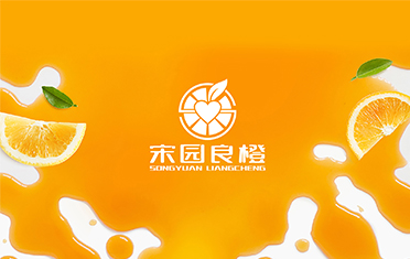 某良橙——双鸭山LOGO设计