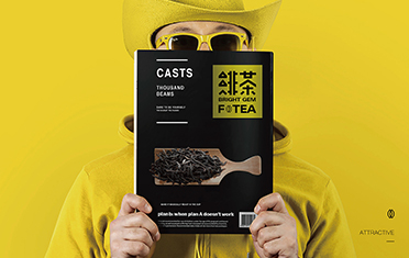 双鸭山绯茶品牌设计